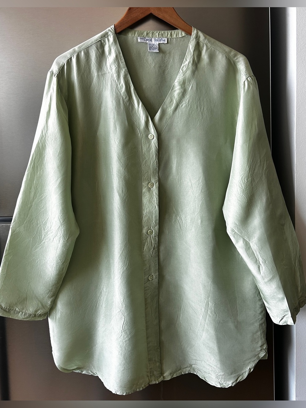 David Hollis 100% Silk Blouse M Pale Green Oversized Minimalist Shirt